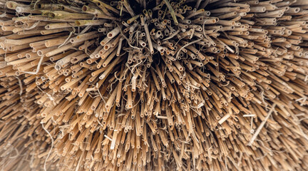 Dry straw. Natural grass texture