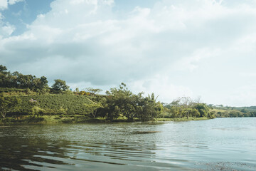 Beautiful view of Tam Chau tea plantation in Bao Loc city, Lam Dong province, Vietnam