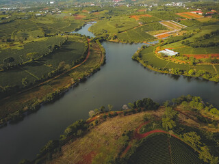 Aerial view of Tam Chau tea plantation in Bao Loc city, Lam Dong province, Vietnam