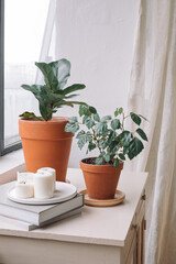 Collection of styled homeware objects on dresser. Potted plants. Stylish bright living room.