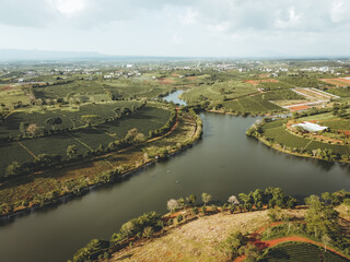 Aerial view of Tam Chau tea plantation in Bao Loc city, Lam Dong province, Vietnam