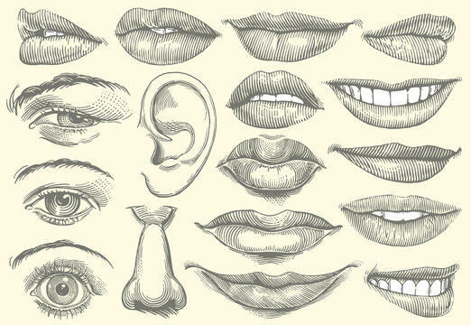 Retro Smiling And Kissing Mouth Set Stock Illustration - Download Image Now  - Mouth, Sketch, Drawing - Activity - iStock