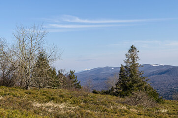 Bieszczady 