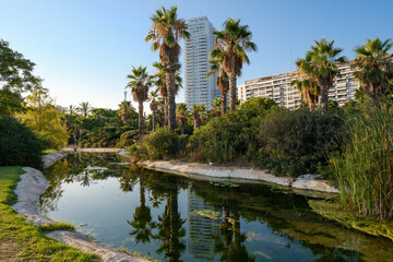 Fototapeta na wymiar landscape of Turia River gardens leisure and sport area in Valencia