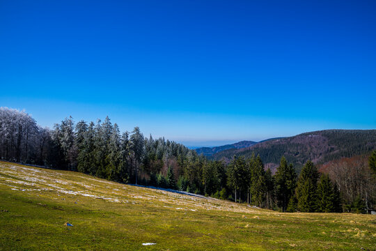 Germany, Panorama view above schwarzwald valley from brend mountain summit in winter season with white snowy trees on an ice cold day