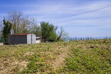 Huts in the countryside in a field of daisies with panoramic views of the Mediterranean sea in the background (Marche, Italy, Europe)