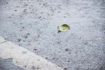 Rain,Storm, Rainy season