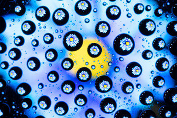 Spring background or texture of water drops on glass with blue and yellow flower refracted in them