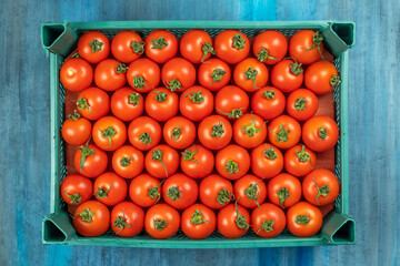 Tomatoes in a box. Top view