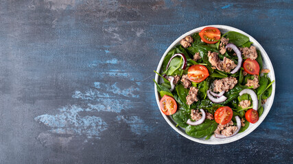 Tuna salad with tomatoes, spinach and onion. Healthy and diet food concept. Top view, space for text