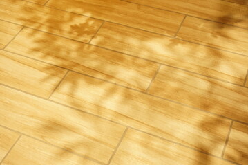 床に差し込む影