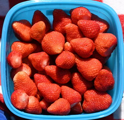 frische Erdbeeren