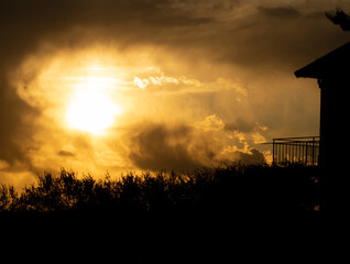 sunset in the field