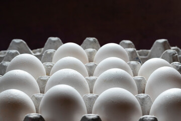 Obraz premium rows of white poultry eggs