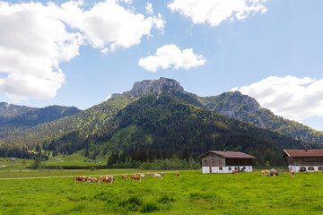 Fototapeta na wymiar Mountain Hörndlwand in bavarian Alps