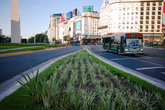 Buenos Aires, Argentina - January, 2020: Bus route 59 driving near Obelisco de Buenos Aires - Obelisk of Buenos Aires - on world widest  street Avenida Nueve de Julio on Plaza de la Republica square