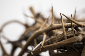 A close up of thorn crown over the white background. 