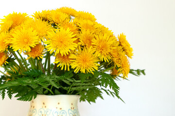 Lush bouquet of yellow dandelions in a light vase