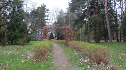 Obraz premium botanical garden with flowers in belarus
