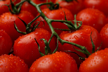 Fresh cherry tomato on whole background, close up