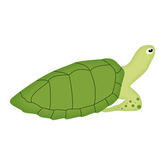 Cute cartoon green turtle character. Vector illustration.