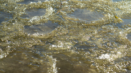 The first ice on the bank of a muddy reservoir in winter. Background for design.