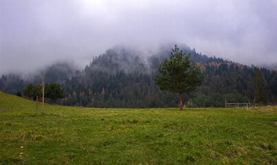 Fototapeta premium Mgly w Pieninach