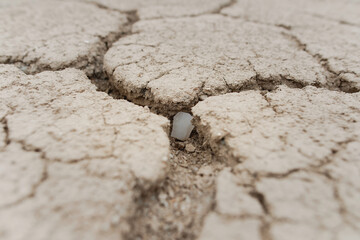 A piece of natural gypsum in cracked clay, deserted steppe fields with shrubs, clay, erosion, desert vegetation. Hills in the Altyn-Emel park in Kazakhstan. In bokeh.