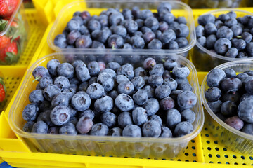 Blueberries in a plastic bowl at market