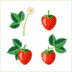 Strawberry fruit, pattern.
