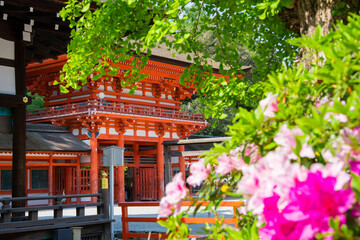 京都　下鴨神社の楼門とツツジ