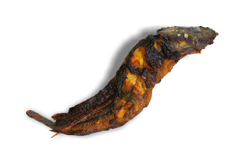 Grilled catfish isolated on white background. This has clipping path.  