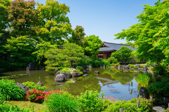 2 794 Best 平安 Images Stock Photos Vectors Adobe Stock