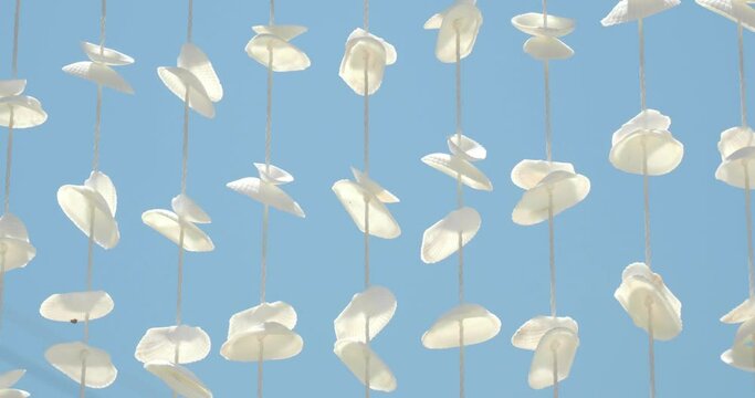 Sea shell chimes