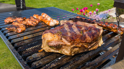 grilled meat on the grill