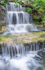 Obraz premium waterfall in the forest