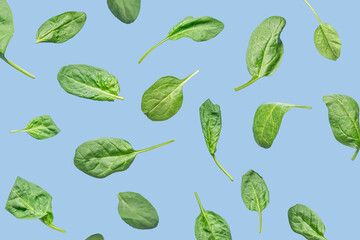 Flying leaves of green spinach on blue background. Food levitation concept