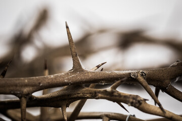 A thorn crown over white background. 