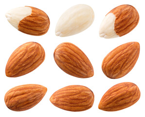 Almond isolated. Almonds on white background. Almond set top view. With clipping path. Full depth...