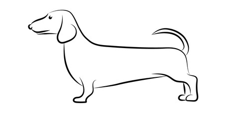 Illustration depicting a dachshund. Dog in sketch style. Vector thin line icon.