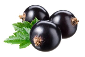 Black currant isolate. Currant black berries isolated on white background with clipping path. Full depth of field.