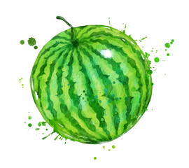 Watercolor illustration of watermelon