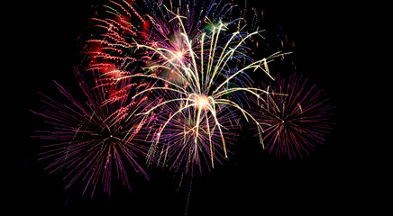 Bright festive fireworks against the night sky. Firework Fiery flowers during the holiday.