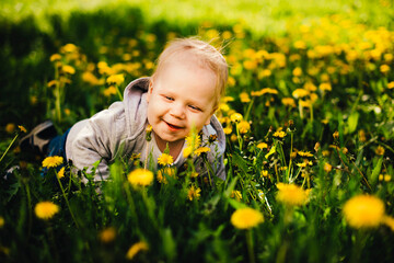 Little happy smiling kid crawls through the meadow with dandelions.