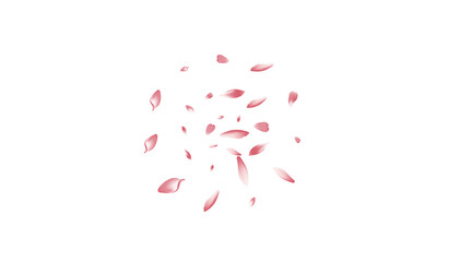 Color Peach Petal Vector White Background. Pink