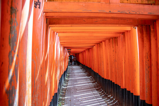 131 Best Senbon Torii Images Stock Photos Vectors Adobe Stock 131 Best Senbon Torii Images Stock Photos Vectors Adobe Stock