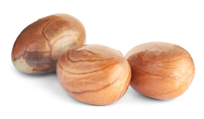 Fresh raw jackfruit seeds on white background