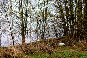 close-up-among the fresh young grass of fallen dry brown leaves lies discarded garbage, a plastic bottle, environmental pollution, selective focus