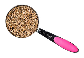 milk thistle seeds in measuring cup cutout