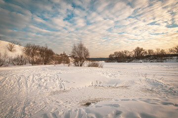 Winter landscape with trees and snow